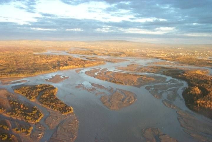 An aerial view of a wide braided river with sandbars and gravel islands, golden autumn light and a flat plain beyond.