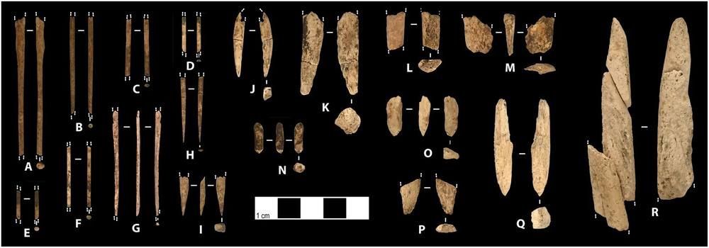 A dark-background photograph of rows of thin brown bone needle fragments and other worked bone and antler pieces with a black-and-white scale bar.